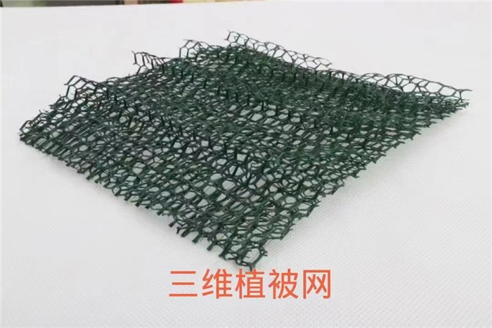 三維植草網